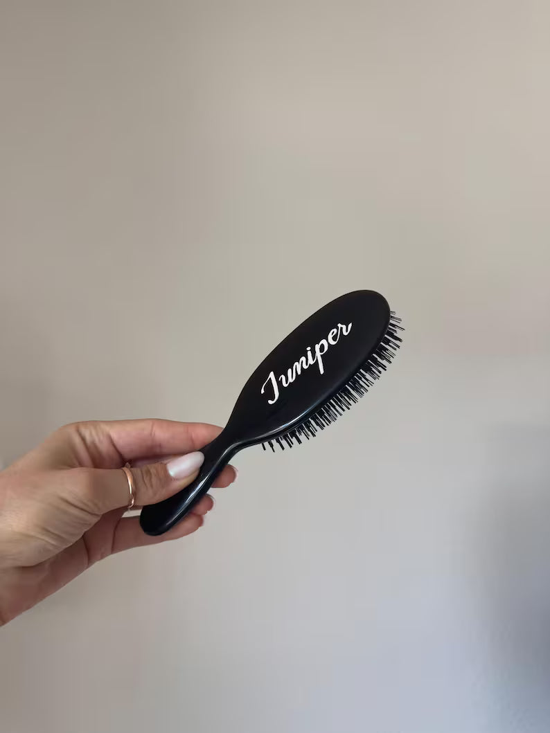 Goose Mason Pearson Personalized & Painted Pocket Hairbrush