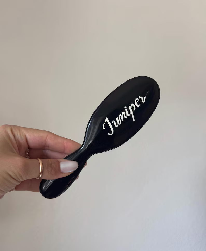 Mason Pearson Painted Hairbrush