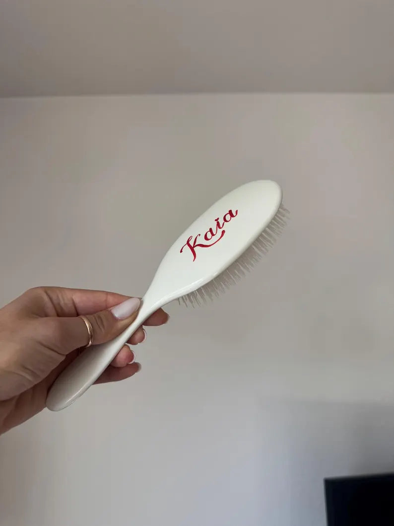 Goose Mason Pearson Hand-Painted Handy Size Hairbrush